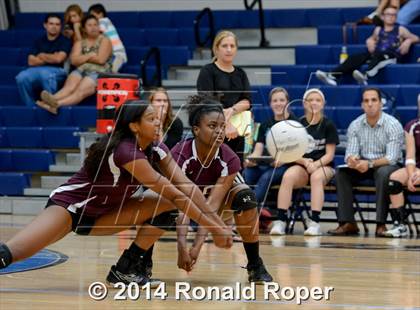 Thumbnail 1 in Mesquite @ Naaman Forrest photogallery.