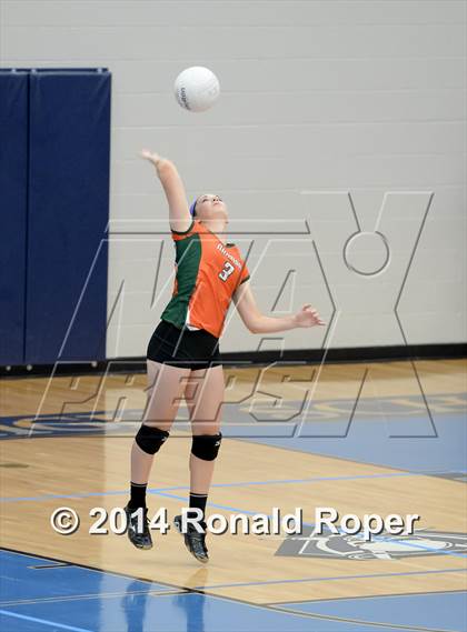 Thumbnail 2 in Mesquite @ Naaman Forrest photogallery.
