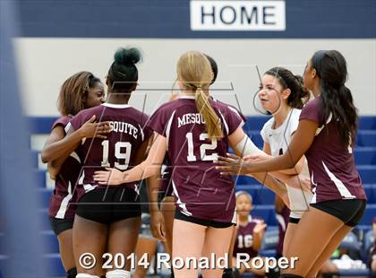 Thumbnail 3 in Mesquite @ Naaman Forrest photogallery.