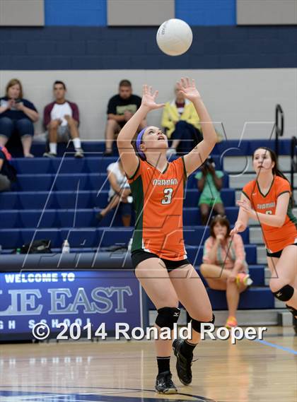 Thumbnail 1 in Mesquite @ Naaman Forrest photogallery.