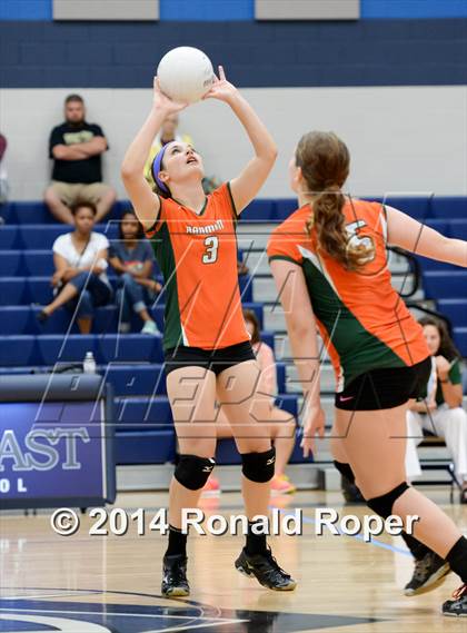 Thumbnail 1 in Mesquite @ Naaman Forrest photogallery.