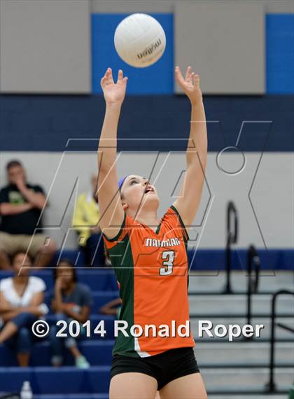 Thumbnail 3 in Mesquite @ Naaman Forrest photogallery.
