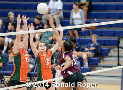 Thumbnail 3 in Mesquite @ Naaman Forrest photogallery.