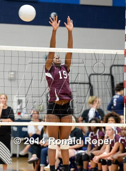 Thumbnail 2 in Mesquite @ Naaman Forrest photogallery.