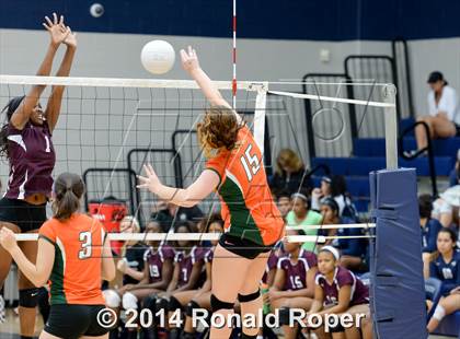 Thumbnail 2 in Mesquite @ Naaman Forrest photogallery.