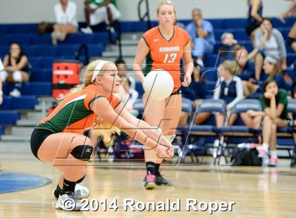 Thumbnail 1 in Mesquite @ Naaman Forrest photogallery.