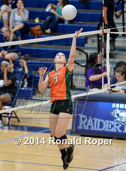 Thumbnail 2 in Mesquite @ Naaman Forrest photogallery.