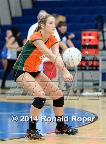 Thumbnail 3 in Mesquite @ Naaman Forrest photogallery.