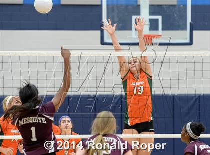 Thumbnail 3 in Mesquite @ Naaman Forrest photogallery.