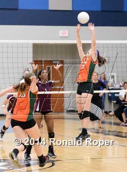 Thumbnail 2 in Mesquite @ Naaman Forrest photogallery.