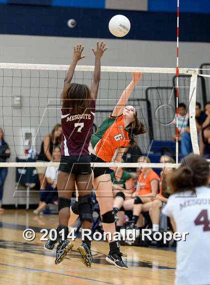 Thumbnail 2 in Mesquite @ Naaman Forrest photogallery.