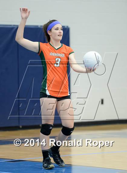 Thumbnail 2 in Mesquite @ Naaman Forrest photogallery.