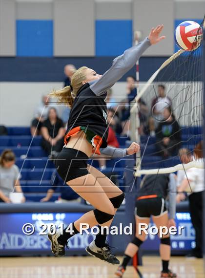Thumbnail 2 in Mesquite @ Naaman Forrest photogallery.