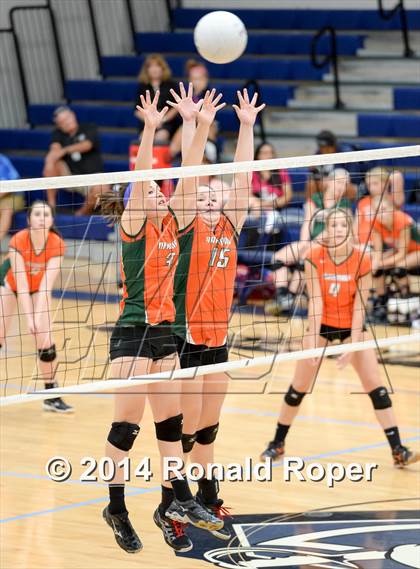 Thumbnail 1 in Mesquite @ Naaman Forrest photogallery.