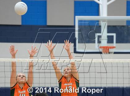 Thumbnail 3 in Mesquite @ Naaman Forrest photogallery.