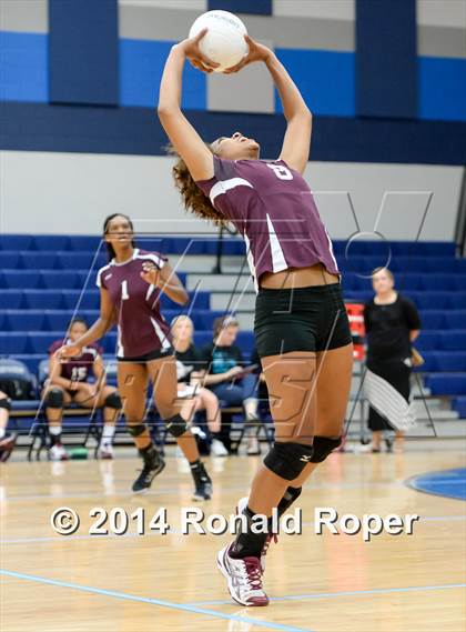 Thumbnail 3 in Mesquite @ Naaman Forrest photogallery.