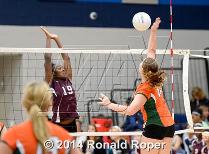 Thumbnail 3 in Mesquite @ Naaman Forrest photogallery.