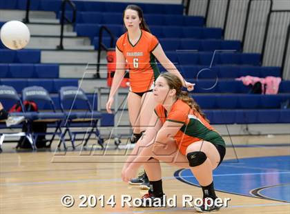 Thumbnail 3 in Mesquite @ Naaman Forrest photogallery.