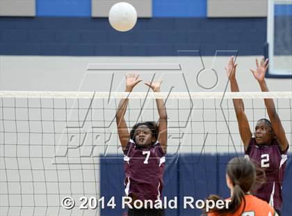 Thumbnail 3 in Mesquite @ Naaman Forrest photogallery.