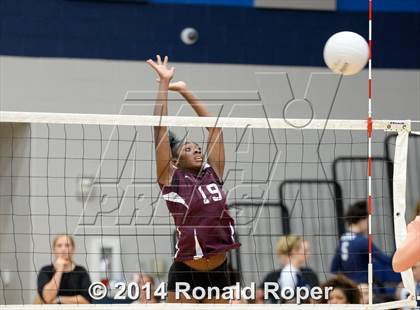 Thumbnail 1 in Mesquite @ Naaman Forrest photogallery.