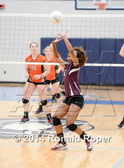 Thumbnail 3 in Mesquite @ Naaman Forrest photogallery.