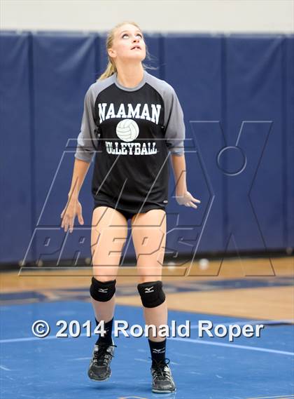 Thumbnail 1 in Mesquite @ Naaman Forrest photogallery.