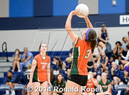 Thumbnail 2 in Mesquite @ Naaman Forrest photogallery.
