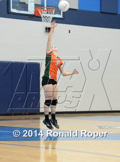 Thumbnail 2 in Mesquite @ Naaman Forrest photogallery.