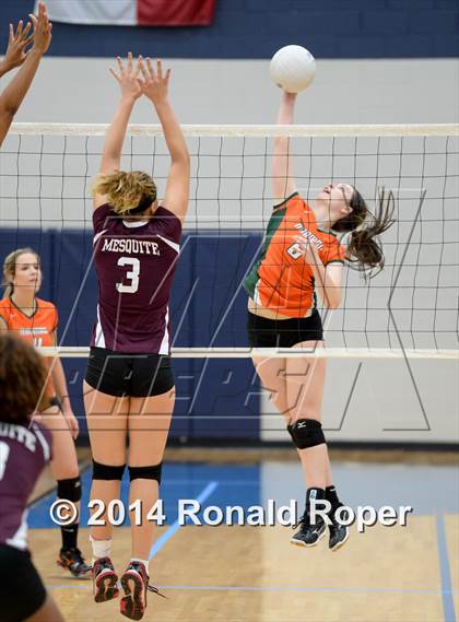 Thumbnail 3 in Mesquite @ Naaman Forrest photogallery.