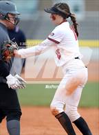 Photo from the gallery "Kuna @ Owyhee"