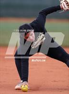 Photo from the gallery "Kuna @ Owyhee"