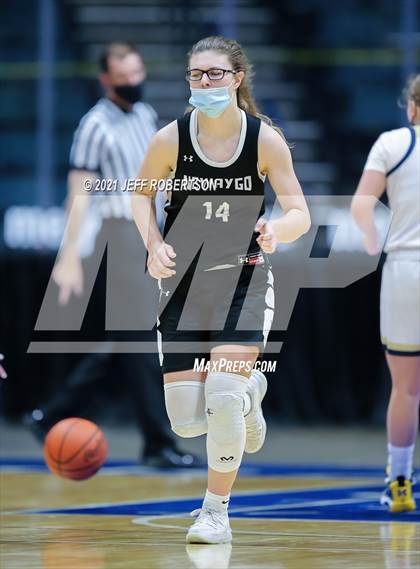 Thumbnail 1 in Newaygo vs. Detroit Country Day (MHSAA D2 Semifinal) photogallery.