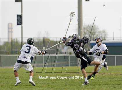Thumbnail 3 in Chantilly @ South County photogallery.