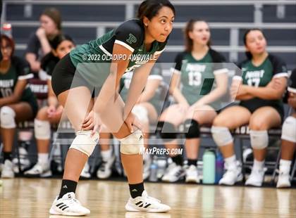 Thumbnail 1 in Wylie vs Poteet photogallery.