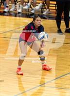 Photo from the gallery "Salem @ South Lyon (MHSAA Division 1 District 23 Semifinal)"
