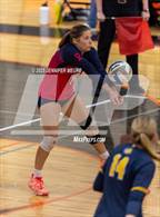Photo from the gallery "Salem @ South Lyon (MHSAA Division 1 District 23 Semifinal)"