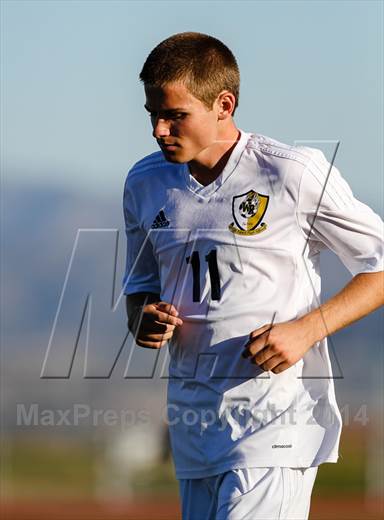 null - Photo 01