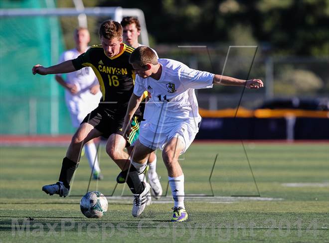 null - Photo 21