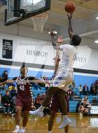 Photo from the gallery "Aquinas Institute @ Bishop Kearney"