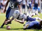 Photo from the gallery "White Knoll @ Colleton County"