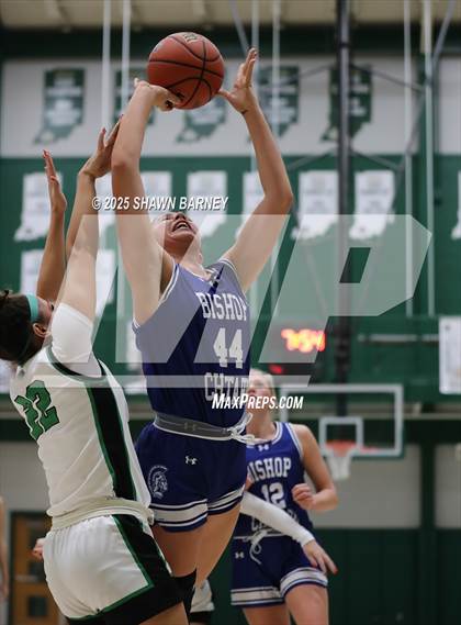 Thumbnail 2 in Indianapolis Bishop Chatard @ Westfield photogallery.
