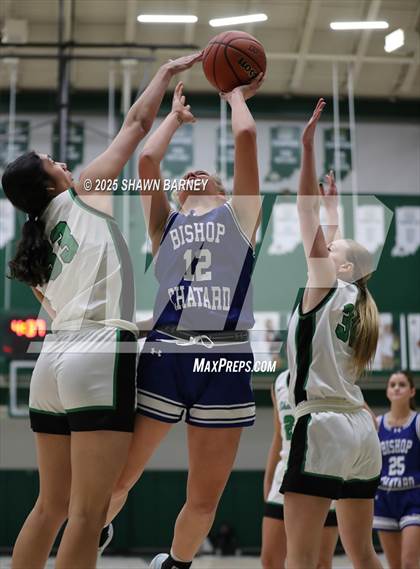 Thumbnail 2 in Indianapolis Bishop Chatard @ Westfield photogallery.