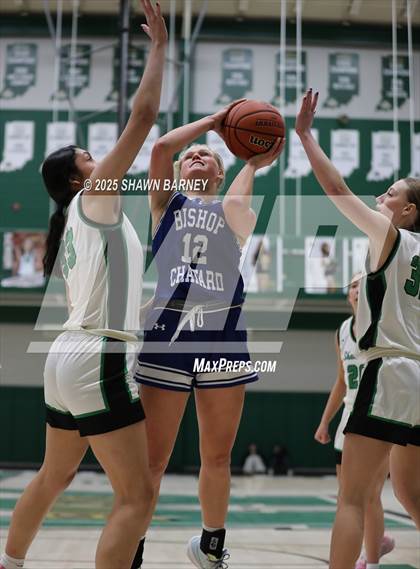 Thumbnail 3 in Indianapolis Bishop Chatard @ Westfield photogallery.