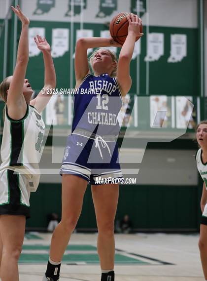 Thumbnail 1 in Indianapolis Bishop Chatard @ Westfield photogallery.