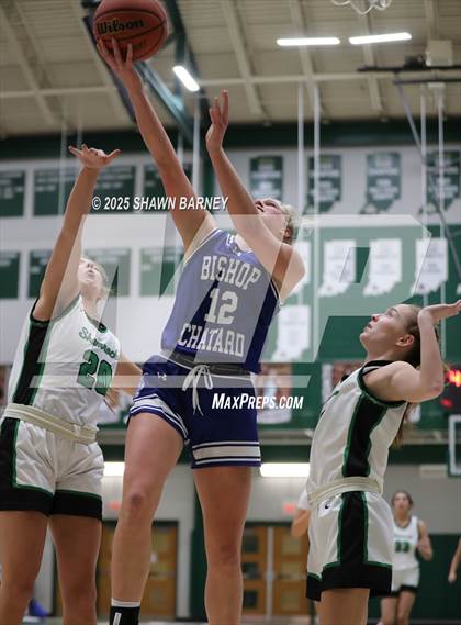 Thumbnail 2 in Indianapolis Bishop Chatard @ Westfield photogallery.