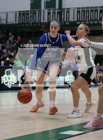 Thumbnail 2 in Indianapolis Bishop Chatard @ Westfield photogallery.