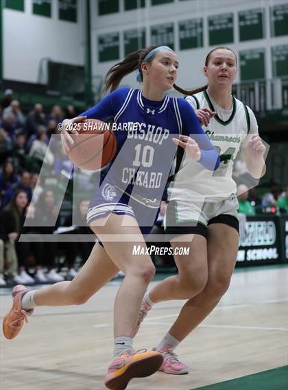 Thumbnail 2 in Indianapolis Bishop Chatard @ Westfield photogallery.