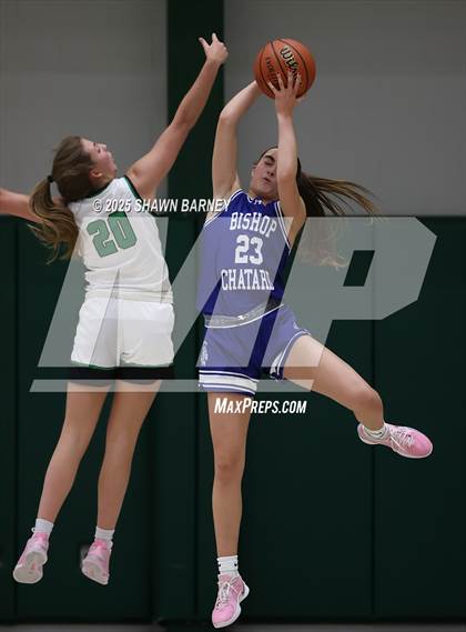 Thumbnail 2 in Indianapolis Bishop Chatard @ Westfield photogallery.