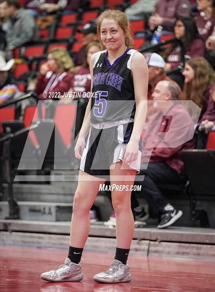 Thumbnail 3 in Spring Creek vs. Lowry (NIAA Class 3A State Girls Final) photogallery.
