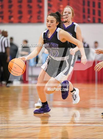Thumbnail 2 in Spring Creek vs. Lowry (NIAA Class 3A State Girls Final) photogallery.